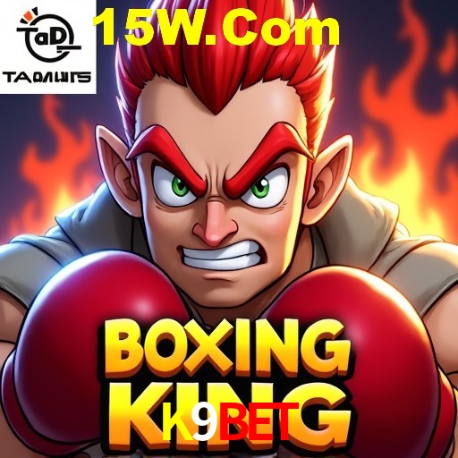 K9Bet Rio de Janeiro - Bonus Terms