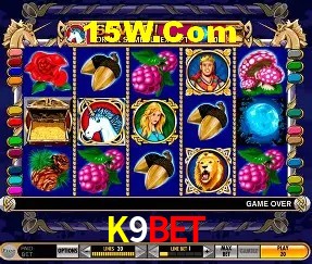 Sistemas de Segurança K9Bet